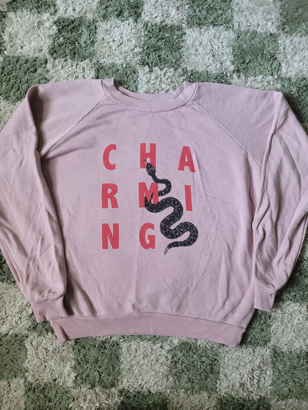Charming Pink Wildfox Sweatshirt - Women